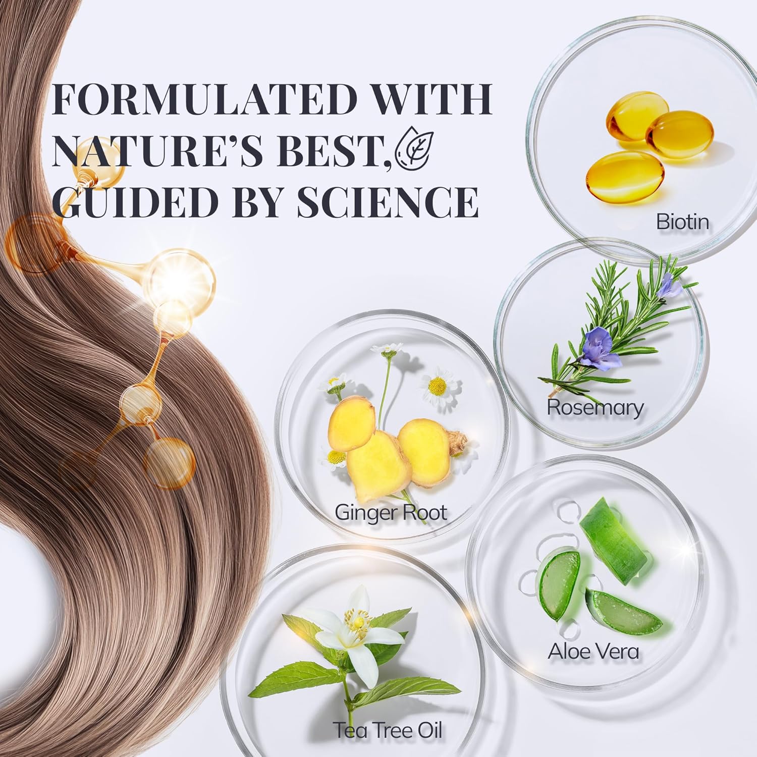 Biotin & Rosemary Shampoo for Hair Growth: Hair Loss Shampoo for Thinning Hair Infused with Natural Nutrient Rich Ingredients for Hair thickening Sulfate Free 10 fl oz - Image 3