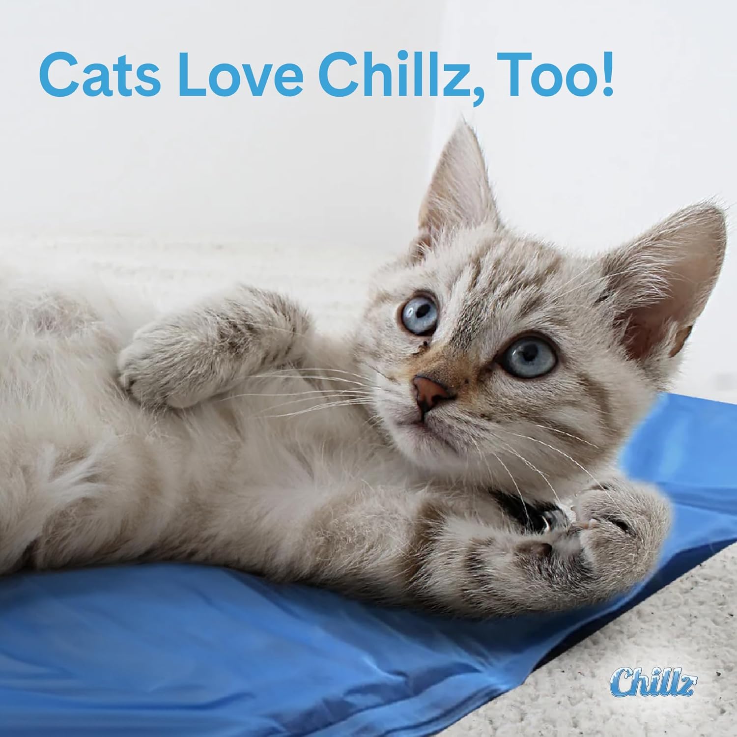 The Green Pet Shop Chillz Gel Mat, Large - Pressure-Activated Cooling Pad for Pets 25-50 lbs - Non-Toxic, No Water or Refrigeration Needed - Ideal for Home, Travel & Crates - Image 6