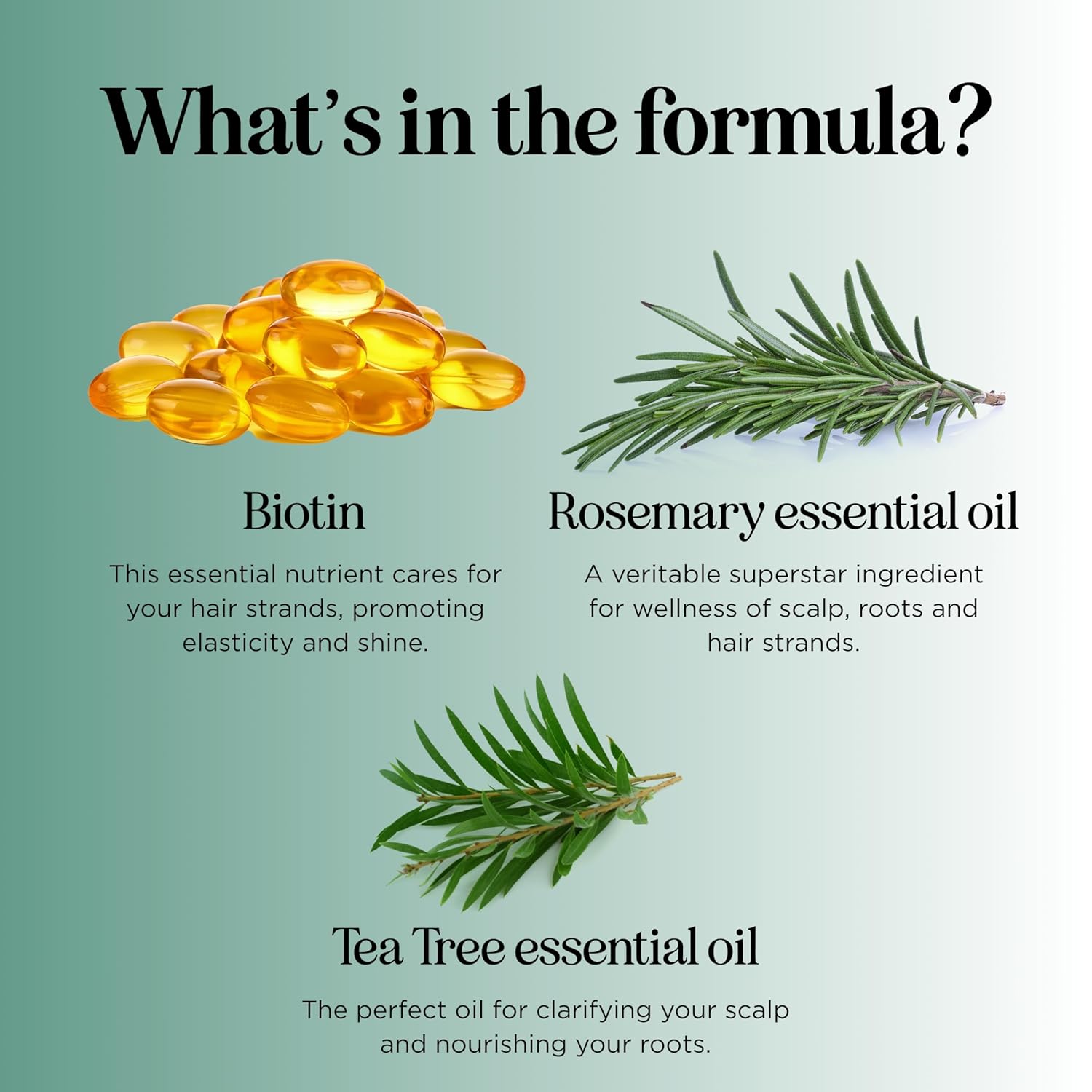 Volumizing Biotin and Rosemary Shampoo - Vegan Rosemary Biotin Shampoo for Thinning Hair for Women and Men with Nourishing B Vitamins & Tea Tree Oil - Paraben Silicone & Sulfate Free (16 Fl Oz) - Image 7