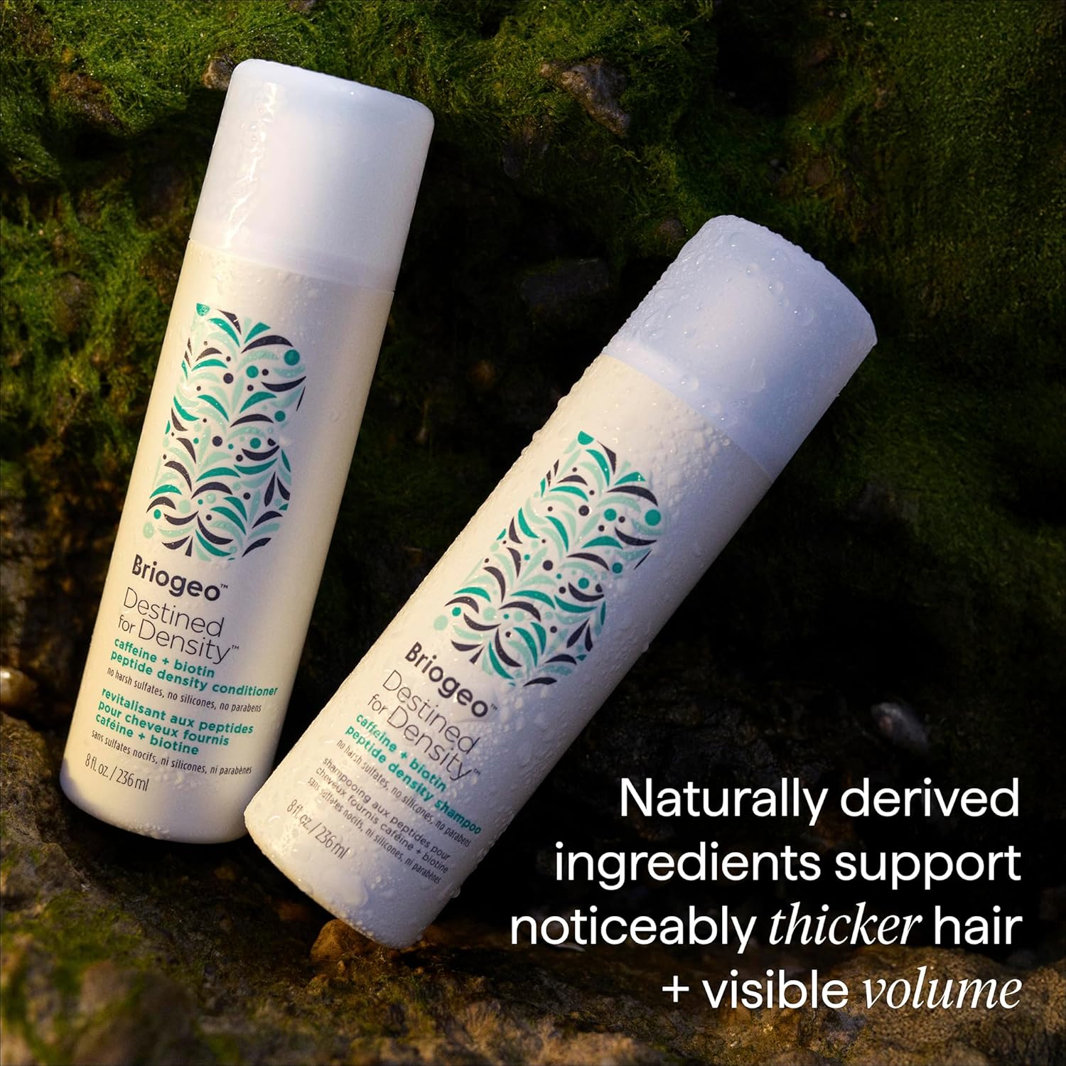 Briogeo Destined for Density Caffeine + Biotin Peptide Density Shampoo | Increases Hair Thickness and Volume for Fine or Thinning Hair | Sulfate-Free | Vegan & Cruelty-Free - Image 7