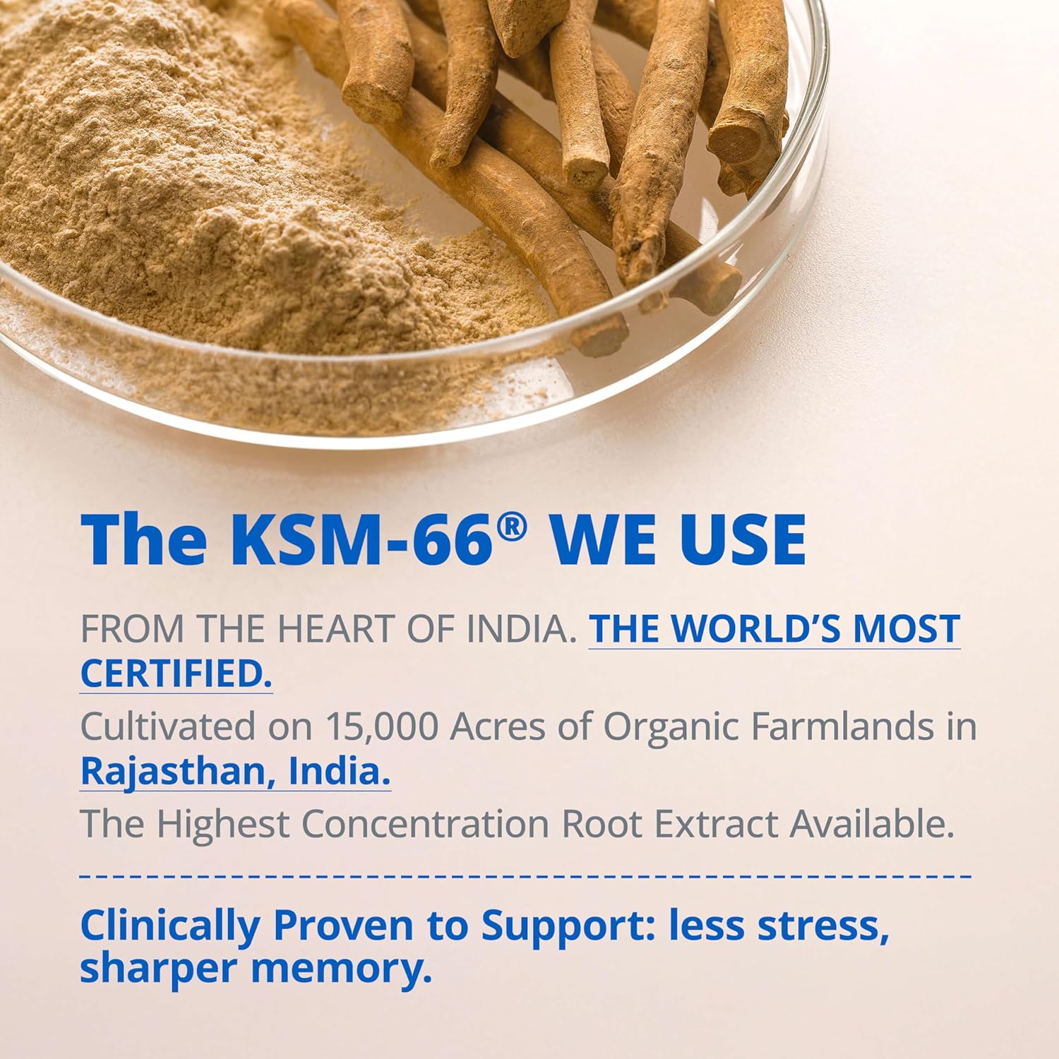 KSM-66 Ashwagandha Supplements, Ashwagandha Root Extract for Women & Men, 10-in-1 Adaptogen Complex for Cortisol Manager, Stress, Energy & Immune Support, 60 Vegan Capsules - Image 4