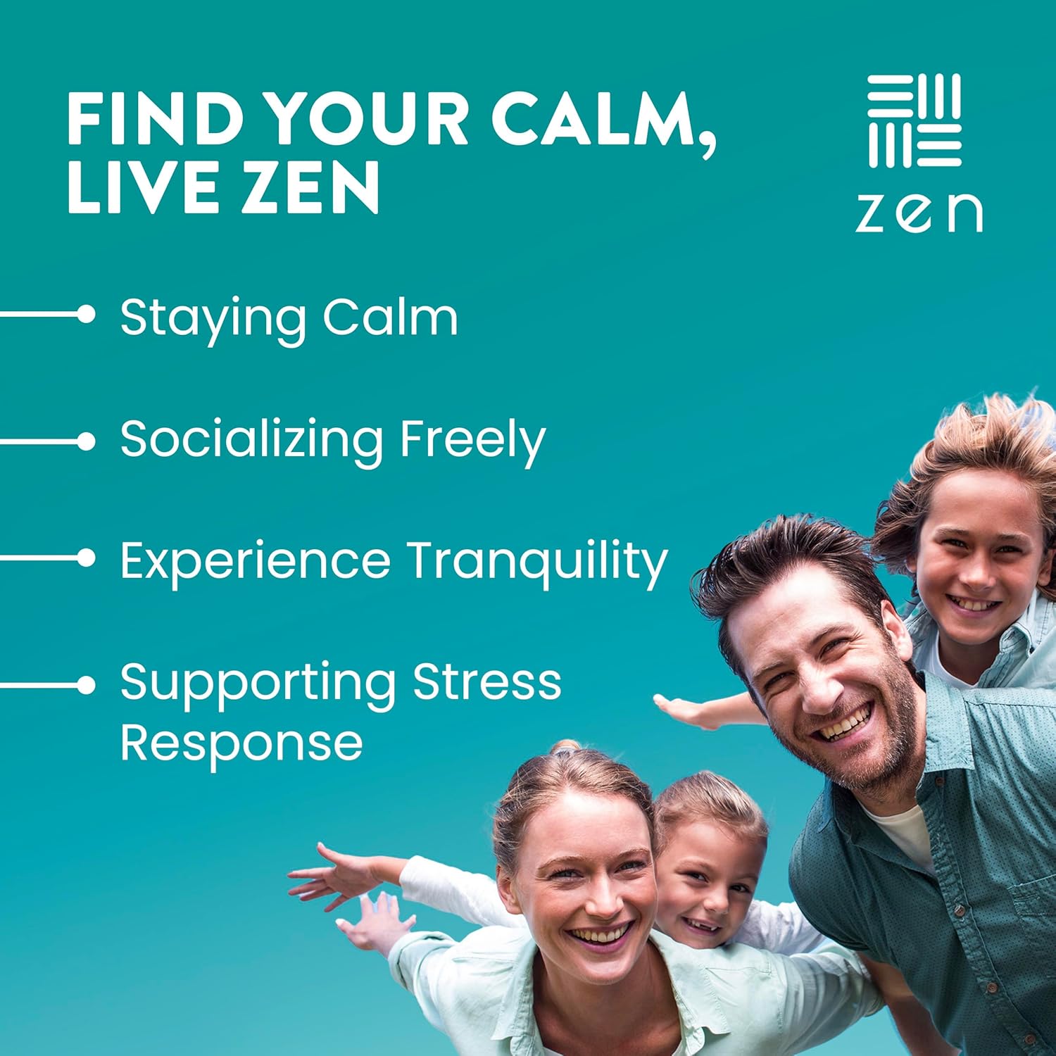 WellPath Zen Stress Relief Supplement + Mood Support | Calm, Stress & Energy Support | Ashwagandha Root, Rhodiola Rosea, L-Theanine, Lemon Balm | Herbal Capsules, 60 Ct - Image 2