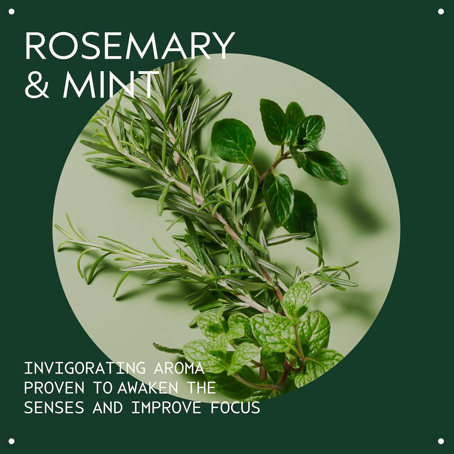 Aveda Rosemary Mint Purifying Shampoo | Clarifying Shampoo | Gently Removes Buildup, Adds Shine | For Normal to Oily Hair, Fine to Medium Hair Types | Invigorating Aroma| 97% Naturally Derived - Image 4