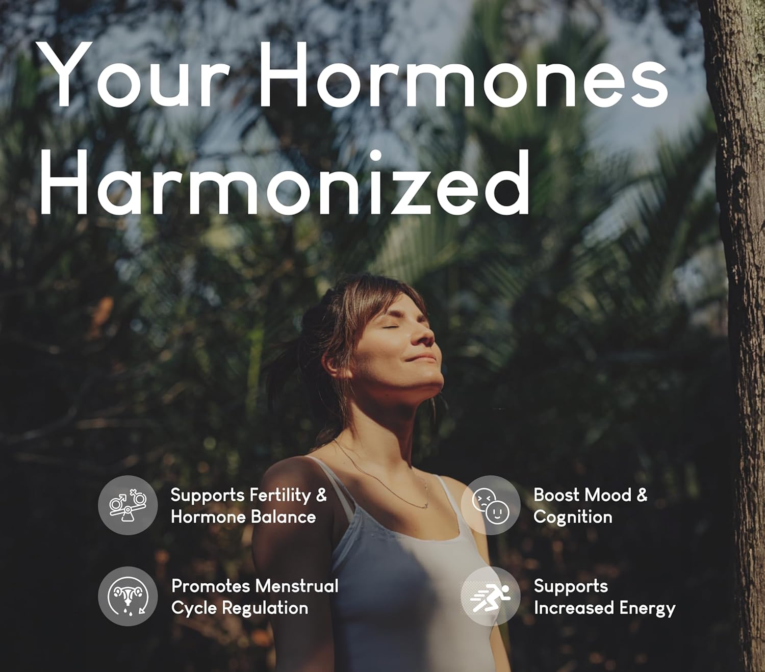 Beef Organ Supplement for Women | Supports Hormone Balance | Ovary, Uterus & Reproductive Nourishment + Liver, Kidney & Heart for Cycle Harmony, Mood Ease & Feminine Energy | 90 Day Supply - Image 3