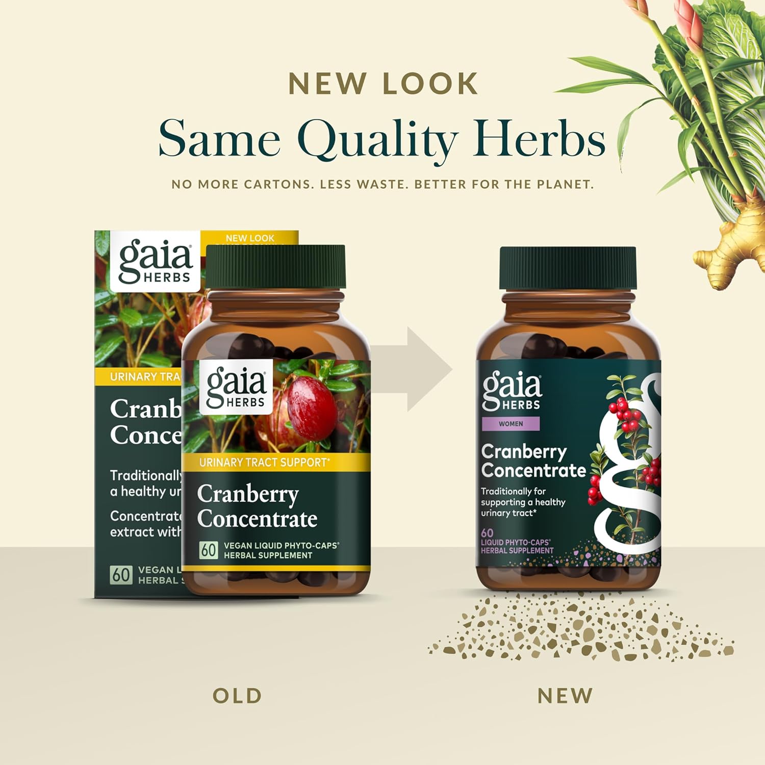 Gaia Herbs Cranberry Concentrate - Traditionally for Helping to Maintain Urinary Tract Health* - Made with Cranberry Fruit Juice Concentrate - 60 Vegan Liquid Phyto-Caps (60 Servings) - Image 6