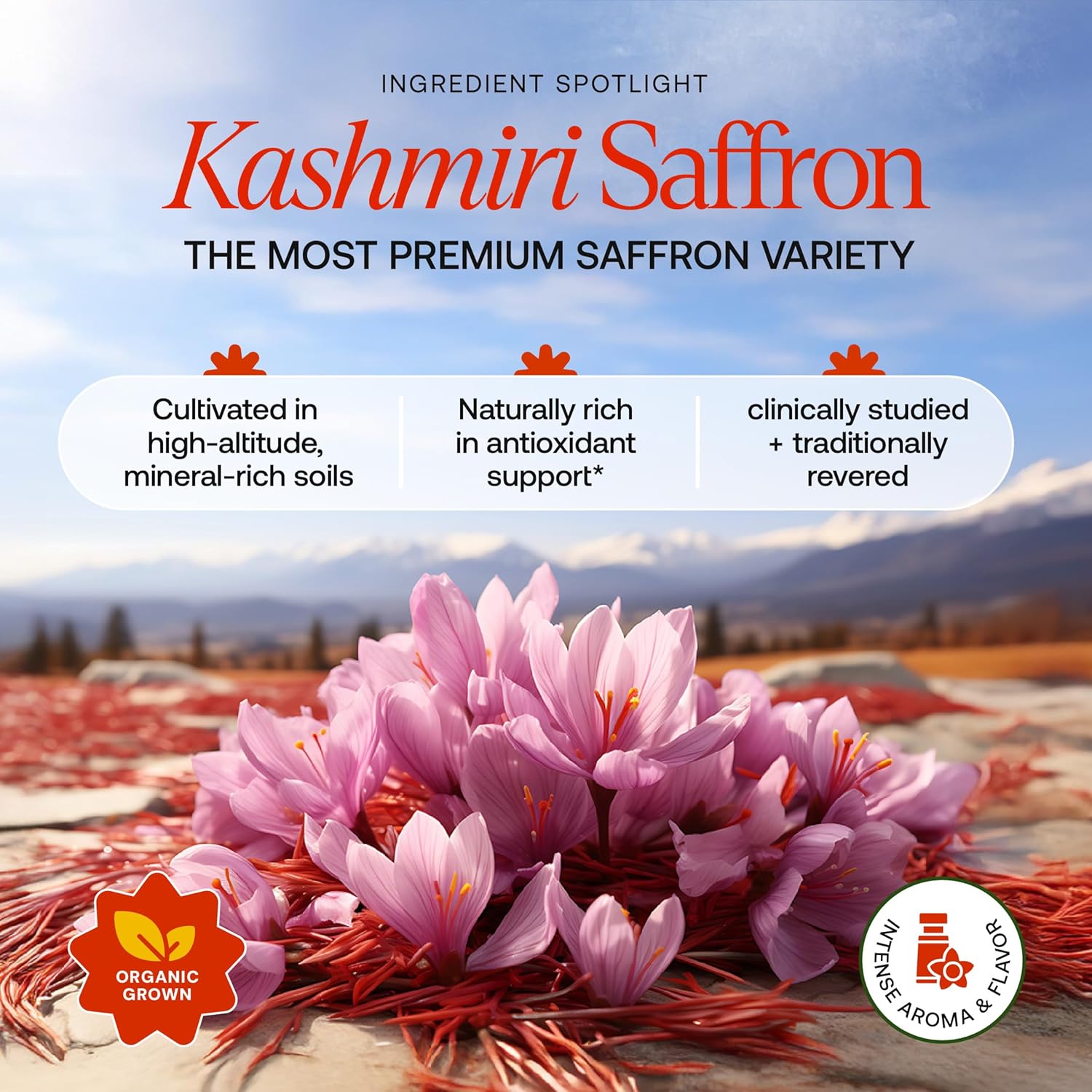 Turmeric Saffron Glow Latte | Calm Nights & Radiance Support* | Golden Milk with Kashmiri Saffron, Ginger, Turmeric & Acerola Vitamin C | Caffeine-Free Daily Ritual | Ayurvedic Drink Mix - Image 5