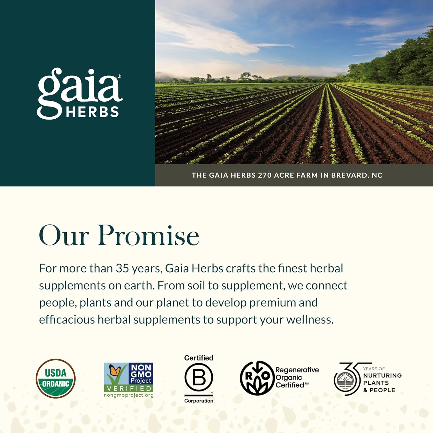 Gaia Herbs Cranberry Concentrate - Traditionally for Helping to Maintain Urinary Tract Health* - Made with Cranberry Fruit Juice Concentrate - 60 Vegan Liquid Phyto-Caps (60 Servings) - Image 7