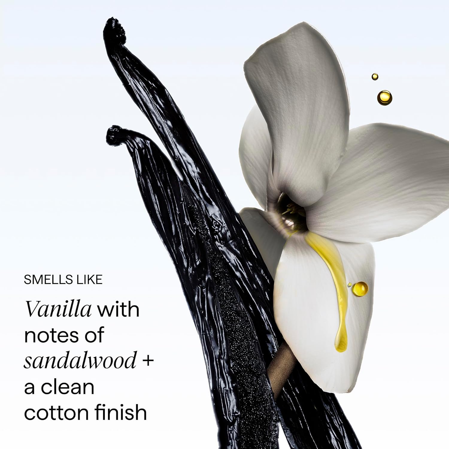 Briogeo Destined for Density Caffeine + Biotin Peptide Density Shampoo | Increases Hair Thickness and Volume for Fine or Thinning Hair | Sulfate-Free | Vegan & Cruelty-Free - Image 9
