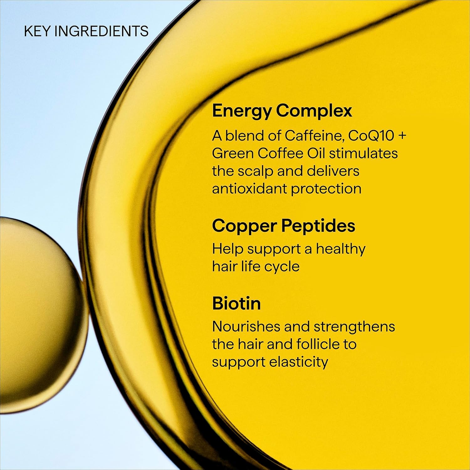 Briogeo Destined for Density Caffeine + Biotin Peptide Density Shampoo | Increases Hair Thickness and Volume for Fine or Thinning Hair | Sulfate-Free | Vegan & Cruelty-Free - Image 8