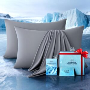Ultra-Chill Cooling Pillowcase Set of 2 for Hot Sleepers, Softer Than Silk Pillow Cases for Protecting Hair & Skin, Breathable Bed Pillow Covers w/Zipper, Gifts for Women Men (Light Gray, Standard)