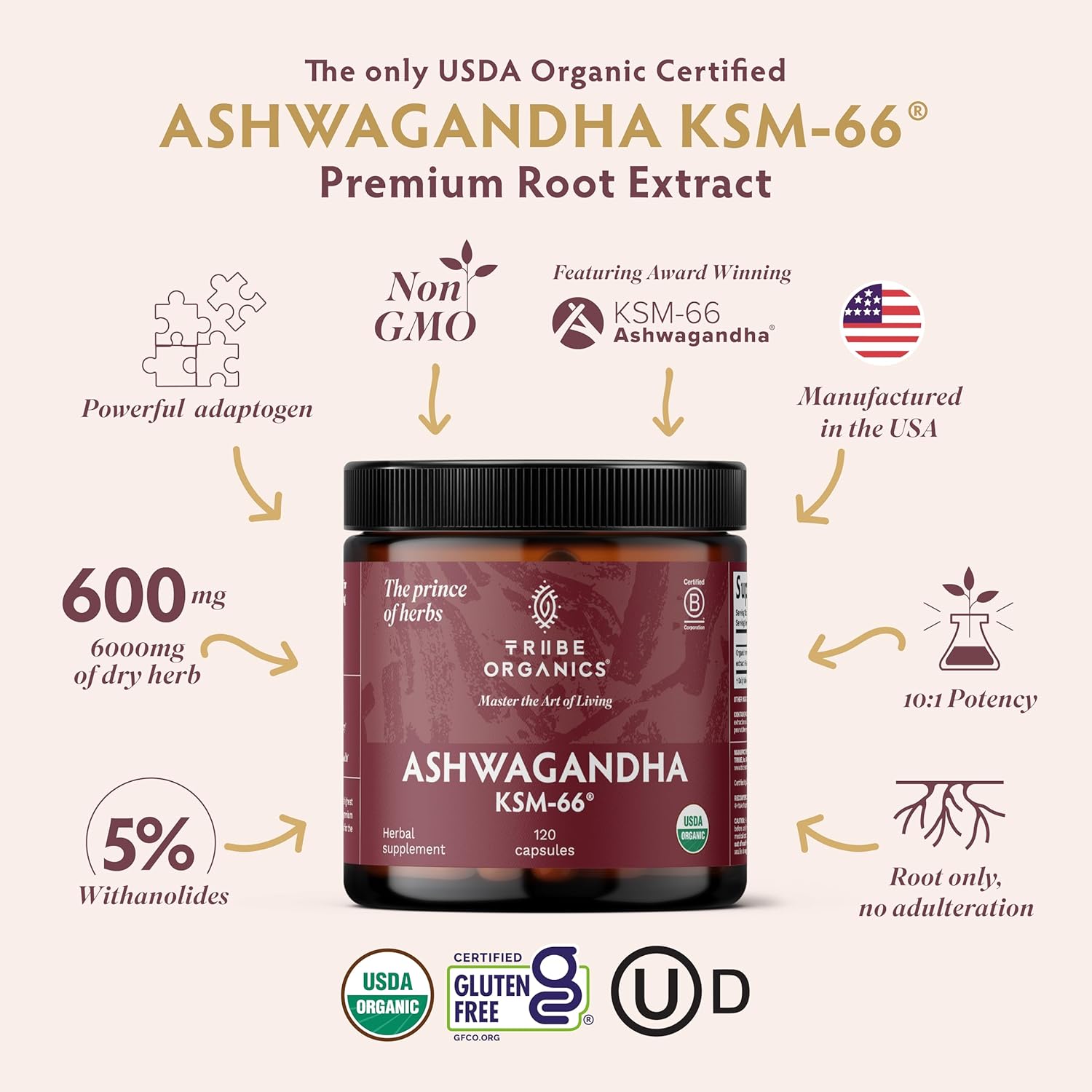 TRIBE ORGANICS Ashwagandha KSM 66 Pure Organic Root Powder Extract Ayurvedic Supplement - Focus, Mood Support, Increase Energy, Strength, 600mg of Natural KSM66 for Superior Absorption - 120 Capsules - Image 2