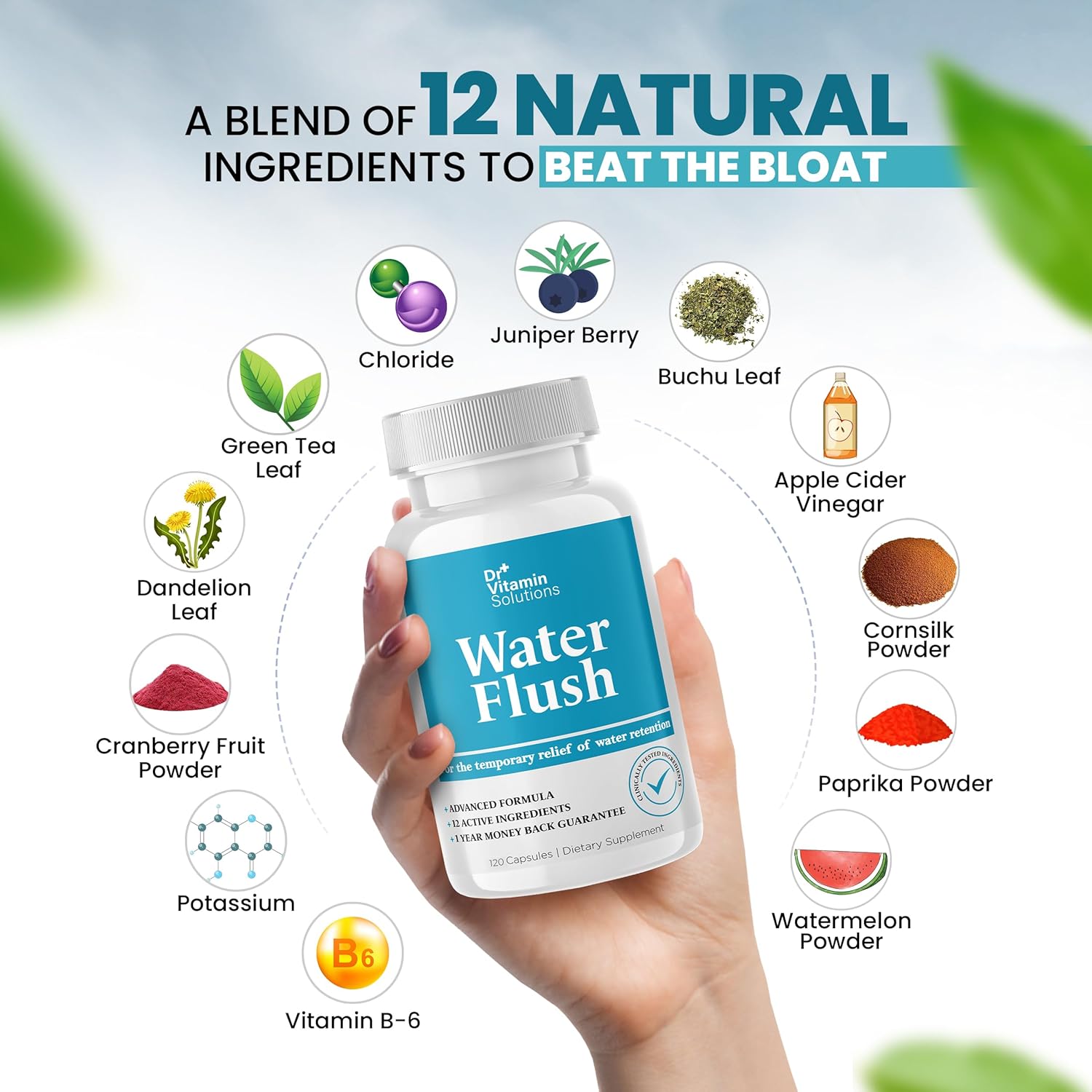 Diuretic Water Pills for Weight Control - Instant Relief from Bloat and Swelling - Green Tea, Cranberry, Dandelion Leaf Extract - Water Retention Pills for Women & Men, 120 Caps - Image 4