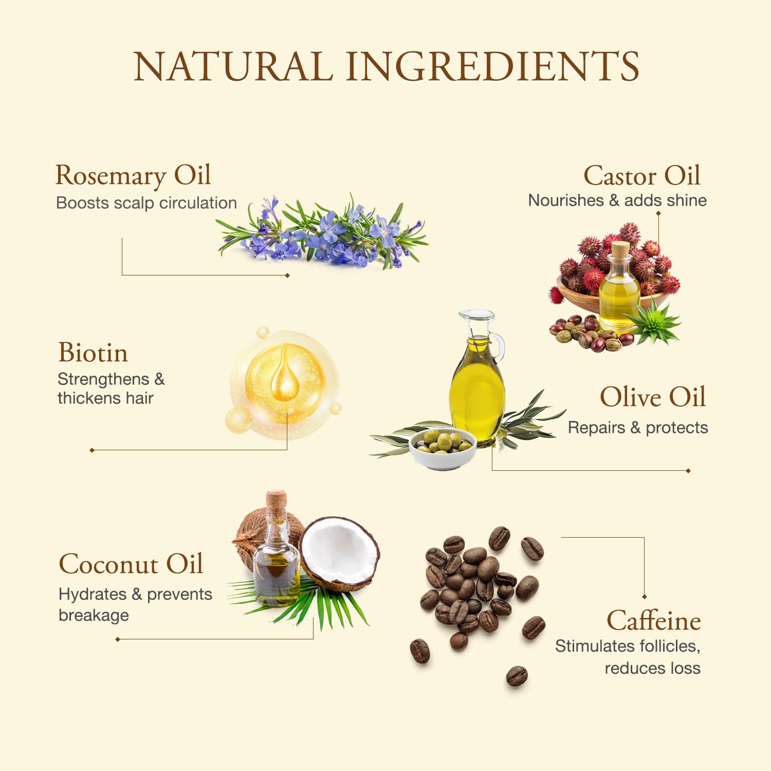 Hair Growth Oil with Rosemary & Biotin: Natural Hair Regrowth Serum for Women & Men – Anti Hair Loss & Thinning Treatment – Promotes Thicker, Fuller, Stronger, Healthier Hair – All Hair Types - Image 4