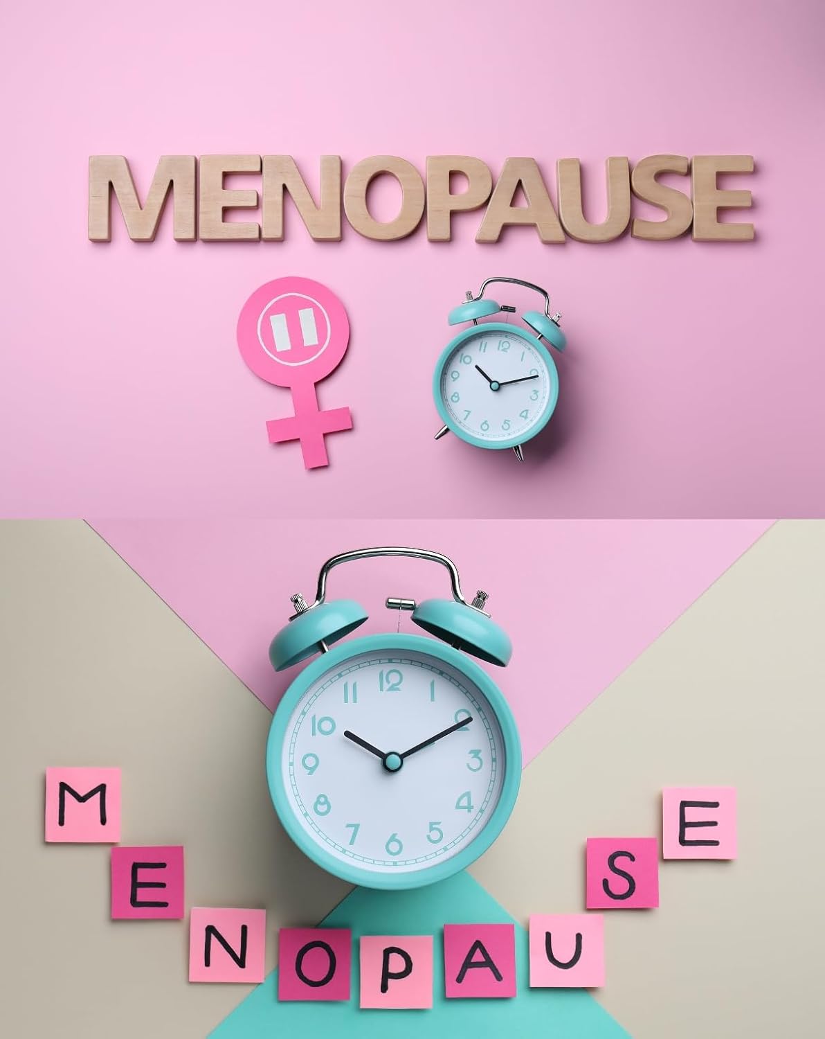 MENOPAUSE TEA - Herbal menopause solution, Natural Menopause Relief For Women, Menopause Symptoms, Hot Flashes, Night Sweats, Women's wellness tea - 20 Premium Tea Sachets - Image 3