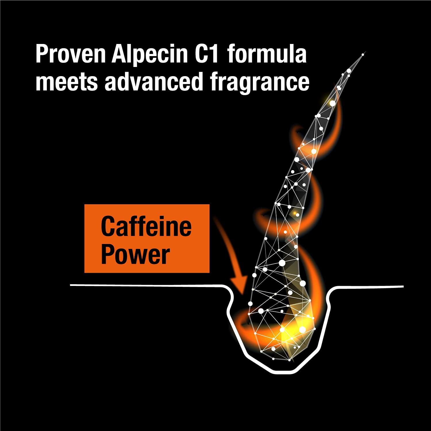 Alpecin Caffeine Shampoo C1 Black Edition with Bold Fragrance 8.45 oz I Hair Performance Enhancer Promotes Natural Hair Growth and Thickness I Energizes Scalp - Image 3