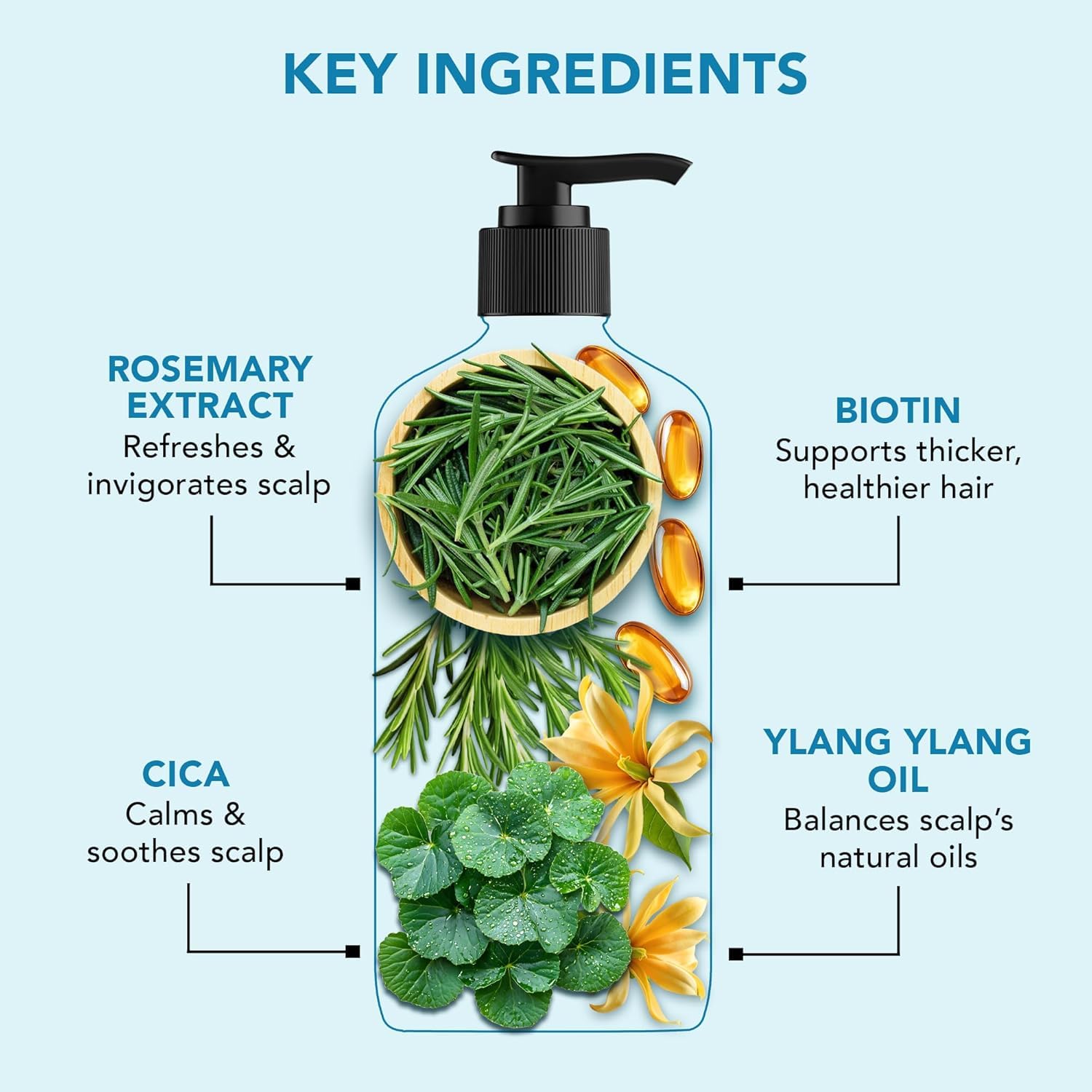 Botanic Hearth Rosemary Shampoo Infused With Cica, Ylang Ylang Oil & Biotin Oil – Clarifying Shampoo For Hair Volume, Growth & Strength | Paraben & Sulfate Free | For All Hair Types, 16 Fl Oz - Image 8