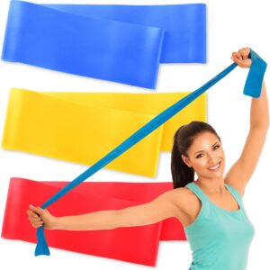 RMS Resistance Bands with Instruction Guide & Carry Bag - Latex Free Exercise Band for Working Out, Physical Therapy, Rehab, Stretch, Yoga & Pilates, Set of 3