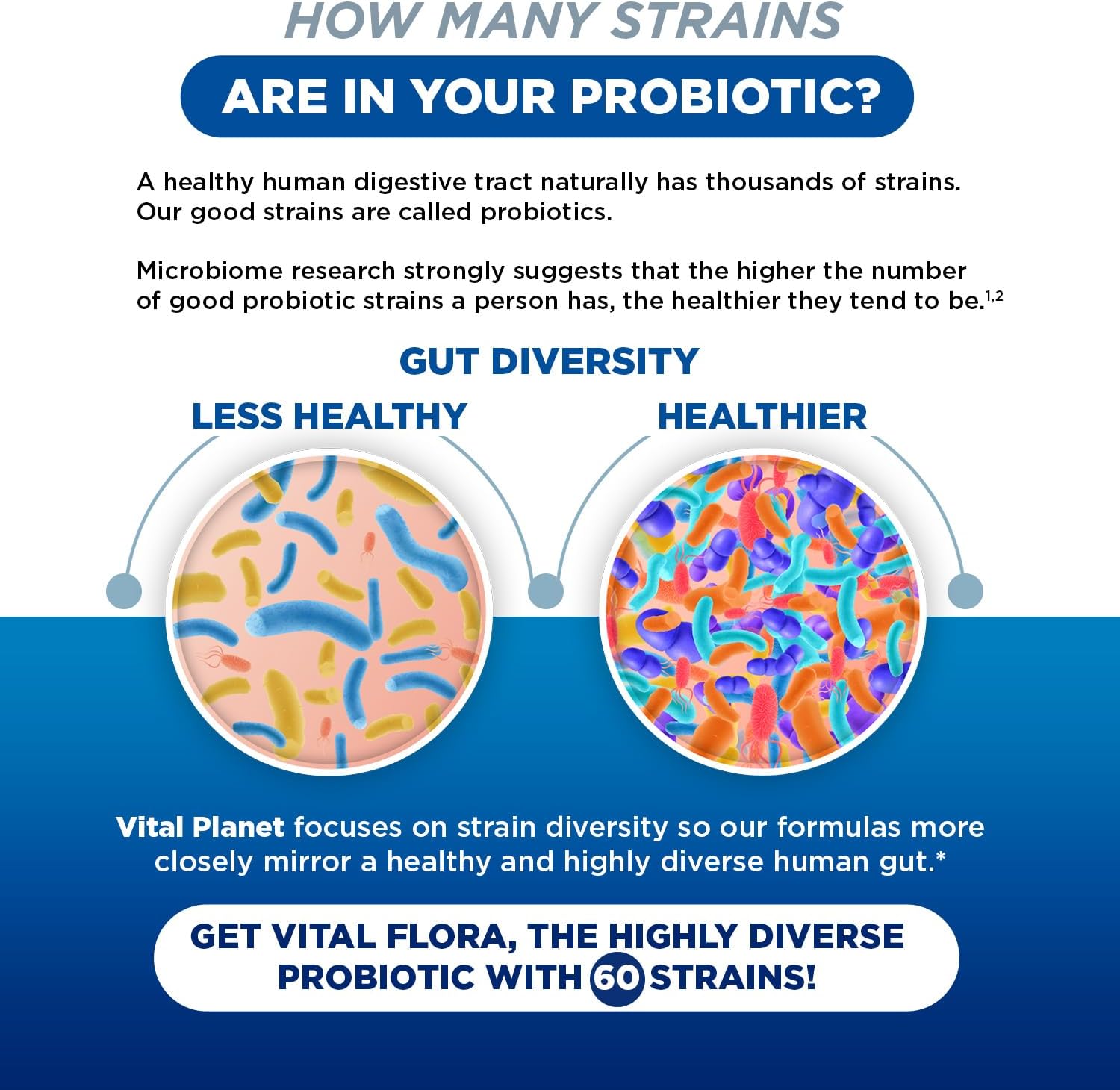Vital Planet - Vital Flora Probiotics for Women Over 55 Daily Shelf Stable Probiotic 60 Billion CFU, 60 Diverse Strains, 7 Organic Prebiotics, Immune Support and Digestive Health 30 Capsules - Image 6
