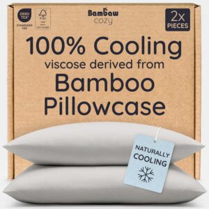 Bambaw 100% Viscose Derived from Bamboo Pillowcases Standard Size – Set of 2 Cooling Pillow Cases Standard Size, Super Soft Pillow Cases with Envelope Closure, Anti Acne Pillow Case (Moonlight Gray)