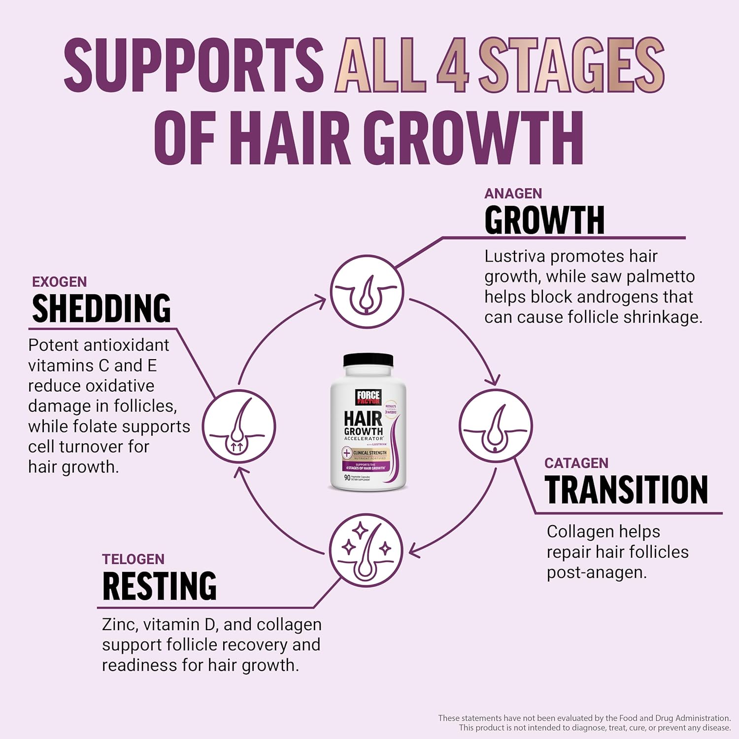 Force Factor Hair Growth Accelerator Multivitamin for Women & Men, with Lustriva, Biotin, Horsetail & Vitamins A, B12, C, D & E for Thicker Hair, Healthier Skin & Nails, 90 Capsules - Image 4