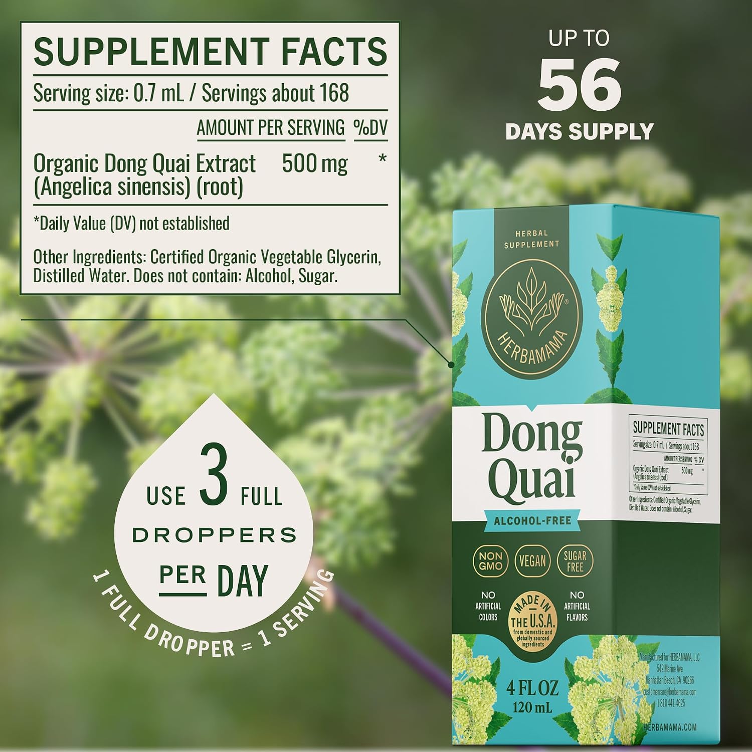 HERBAMAMA Dong Quai – Menopause Supplements for Women – Angelica Root for Hormone Balance & PMS Relief* – Vegan, Non-GMO, Alcohol & Sugar-Free, 56-Day Supply - Image 3