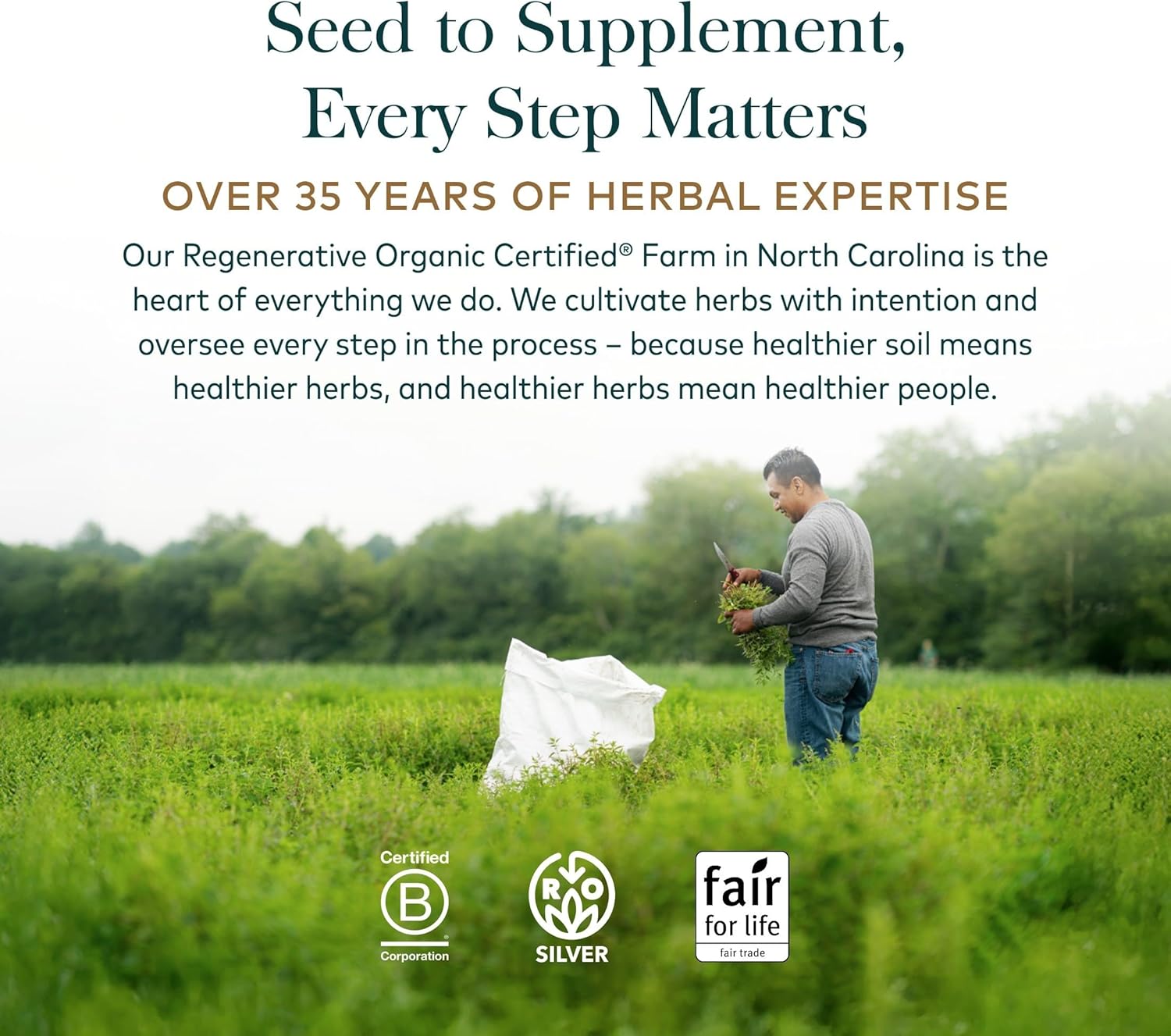 Gaia Herbs Ashwagandha Root - Stress Relief & Sleep Support Supplement - Supports Balanced Energy Levels & Positive Outlook* - 120 Vegan Liquid Phyto-Caps (60 Servings) - Image 8