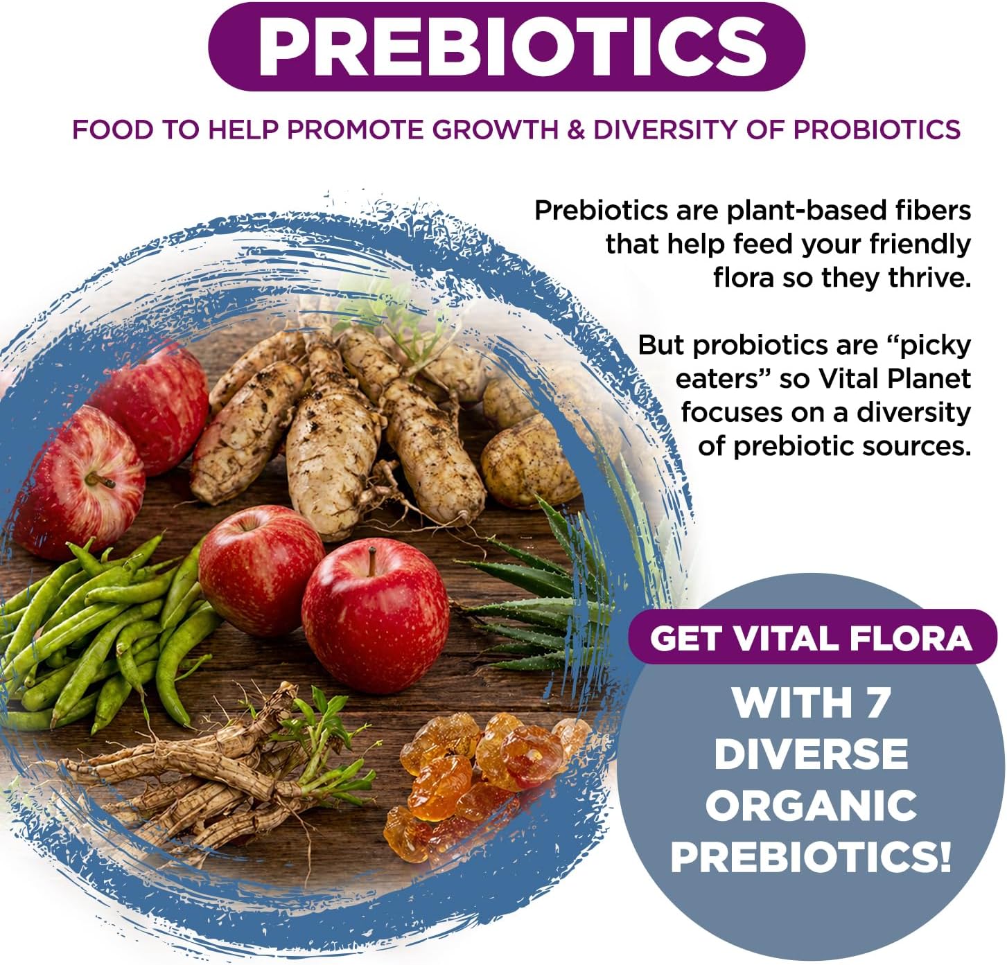Vital Planet - Vital Flora Probiotics for Women Over 55 Daily Shelf Stable Probiotic 60 Billion CFU, 60 Diverse Strains, 7 Organic Prebiotics, Immune Support and Digestive Health 30 Capsules - Image 5