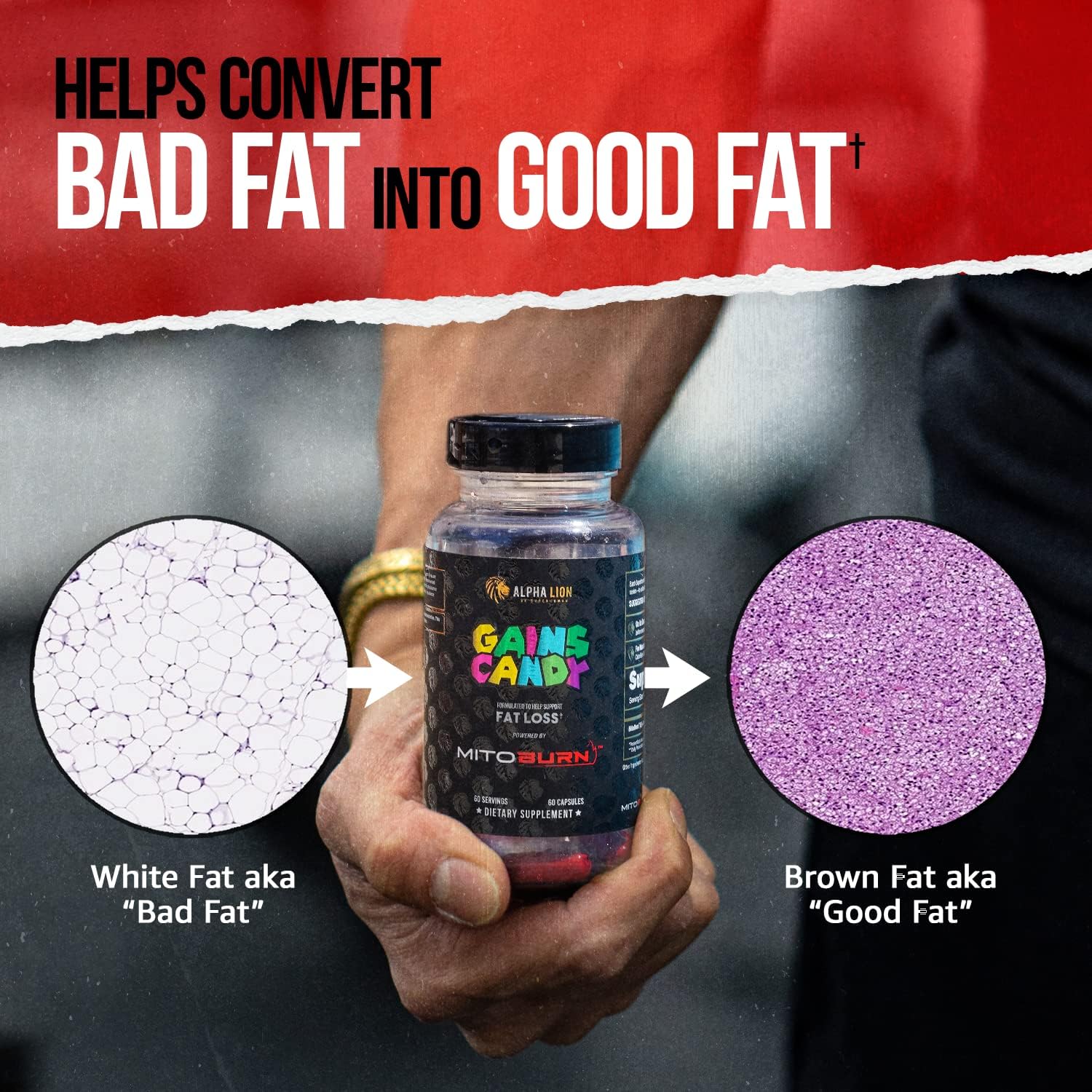 ALPHA LION Gains Candy, Supplement Pills that Support Weight Loss, Appetite Suppressant, Keto-Diet Friendly, Decrease Body Fat, Upgrade Energy & Workout Performance, 60 Capsules (MitoBurn®) - Image 6